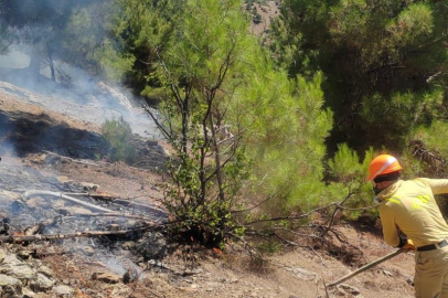 Adana Feke’deki orman yangını kontrol altına alındı