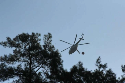 Aydın Bozdoğan’da ziraat alanında yangın: Ekipler havadan ve karadan müdahale ediyor