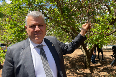 Barut: Zirai don felaketinden etkilenen çiftçinin yaraları hâlâ sarılmadı