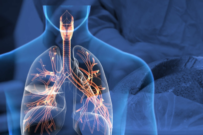 Çin’de dünyada ilk kez domuzdan insana akciğer nakli yapıldı