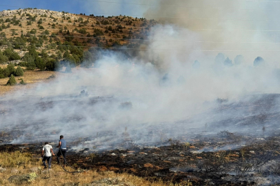 Adana'da anız yangını orman sıçradı