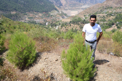 Adana’daki orman yangınında zarar gören alanlar 4 yıl sonra yeniden yeşerdi