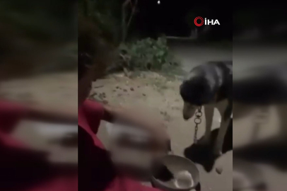 Köpeğine alkol içiren şahıs hakkında adli işlem başlatıldı