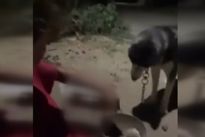 Polatlı’da skandal: Köpeğine zorla alkol içiren şahıs tepki çekti