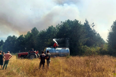 Sakarya’da orman yangını korkuttu: Ekipler harekete geçti