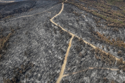 Çanakkale'de 118 orman yangınında 7 bin 39 hektar alan zarar gördü