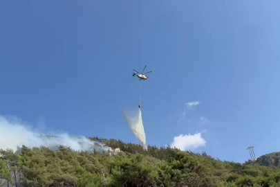 Hatay’da orman yangını