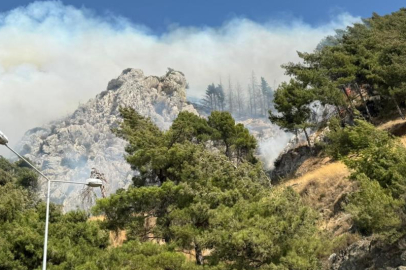 Hatay’da orman yangını! Ekipler alevlere müdahale ediyor