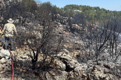 Silifke'deki orman yangını söndürüldü