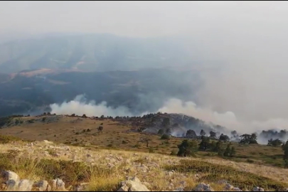 Amasya’da orman yangınında 35 hektar alan kül oldu
