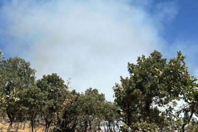 Buldan’da söndürülen yangın bölgesinde tekrar alevler yükseldi