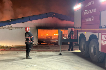 Sakarya’da boya fabrikası alevlere teslim oldu
