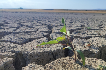 Yozgat'taki Gelingüllü Barajı'nda su çekildi, kuraklığın izleri ortaya çıktı