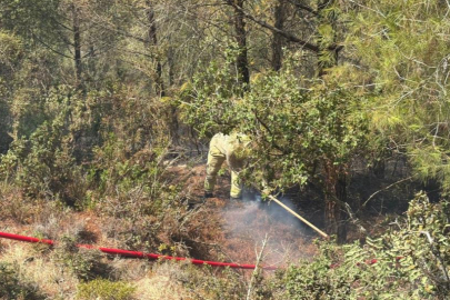 Adana Sarıçam’da orman yangını kısa sürede kontrol altına alındı