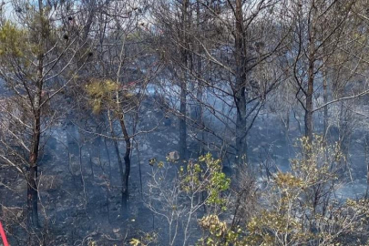 Hatay Arsuz’da orman yangını kontrol altına alındı