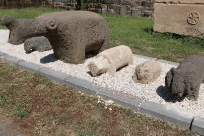 Diyarbakır Müzesi’nde 91 yıl sonra koç ve koyun mezar taşları sergileniyor