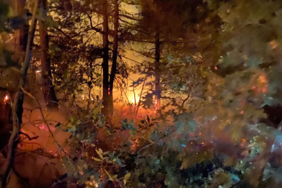 Geyve’de çıkan orman yangınında 5 dönüm alan zarar gördü