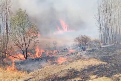 Yozgat’ta peş peşe çıkan yangınlar korkuttu
