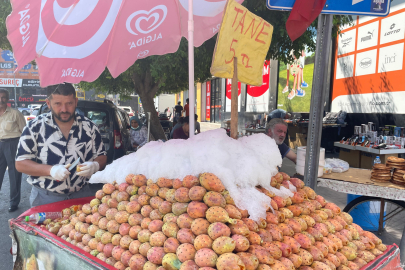 Adana’da dikenli incir sağlığa faydasıyla dikkat çekiyor