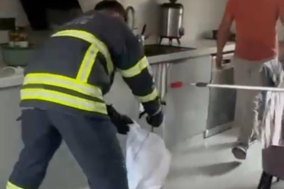 Adana’da mutfağa giren yılan paniğe neden oldu