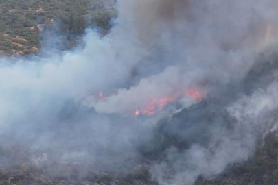 Karabük'teki yangınla ilgili 5 kişi gözaltına alındı