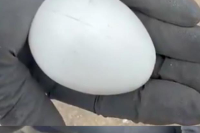 Sürpriz yumurtalardan uyuşturucu çıktı: Mersin’de 3,5 milyon hap ele geçirildi