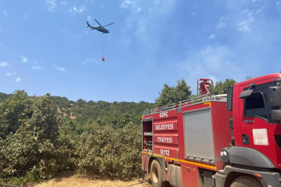 Bingöl’de orman yangınıyla mücadele sürüyor