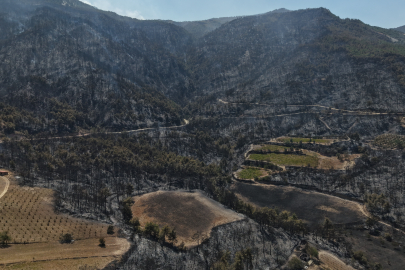 Denizli Valiliği: Yangının enerjisi büyük oranda düşürüldü