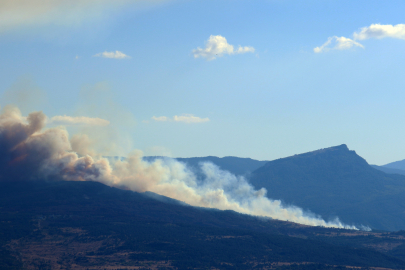 Karabük'te yangınlar art arda çıkıyor
