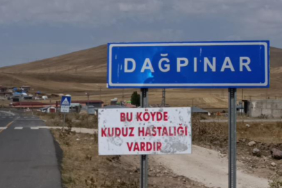 Kars'ta kuduz vakası: Bir belde karantinaya alındı