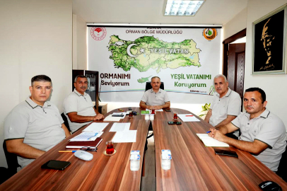 Üretimden satışa, Adana ormanları için yol haritası çizildi
