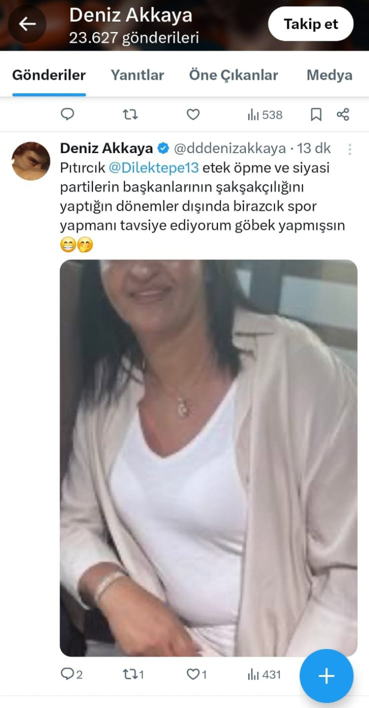 CHP’li Dilek Tepe’den Deniz Akkaya’ya suç duyurusu 3