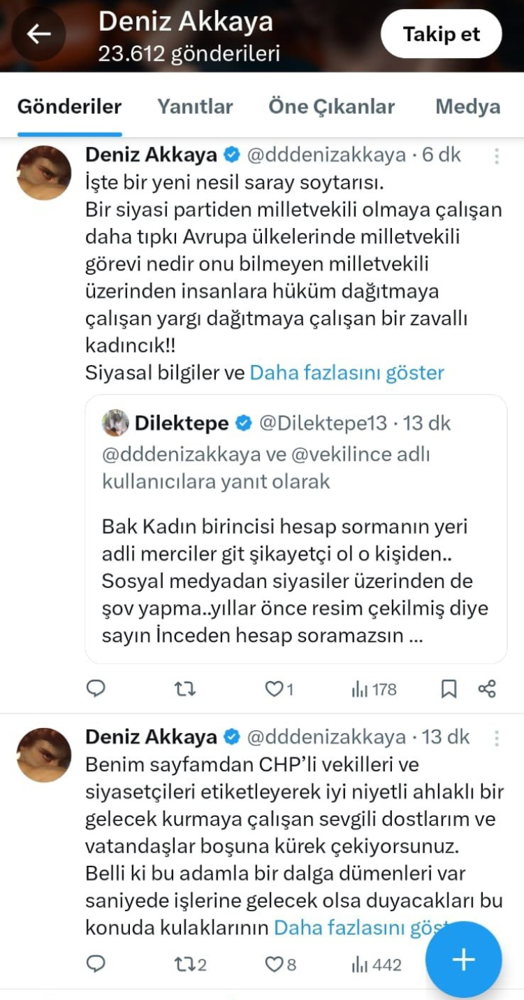 CHP’li Dilek Tepe’den Deniz Akkaya’ya suç duyurusu 4