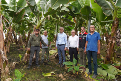 İl Müdürü Bayazıt: Adana’nın tropikal üretim potansiyeli büyük, destek sürecek