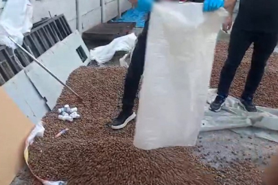 Sakarya'da fındık çuvalında uyuşturucu ele geçirildi