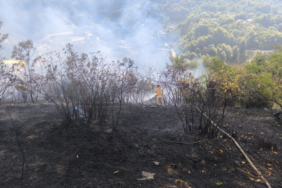 Zonguldak’ta orman yangını: 2 Dekar alan etkilendi