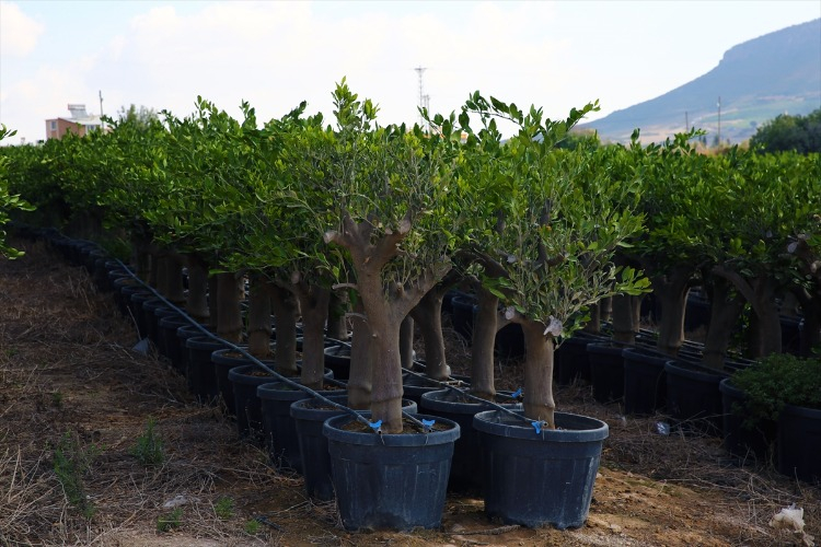 Firma ortaklarından Cumali Şahin,  çevre dostu yaklaşımla üretim yaptıklarını söyledi.