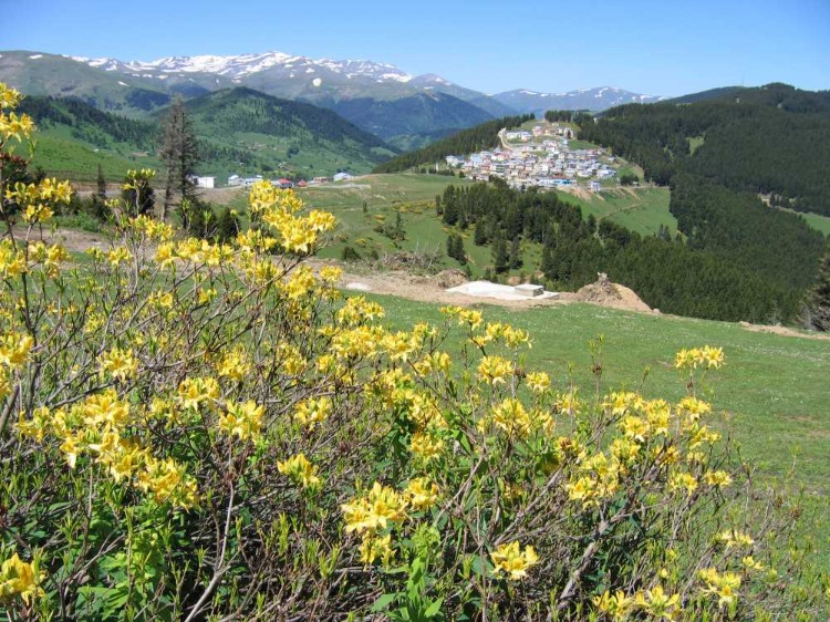 ULUSLARARASI FESTİVAL HEYECANI