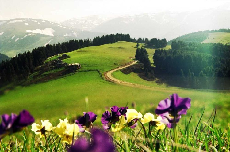 DOĞA VE KÜLTÜR İÇ İÇE