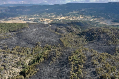 Kastamonu'daki orman yangınlarında 2 bin 736 hektar alan zarar gördü