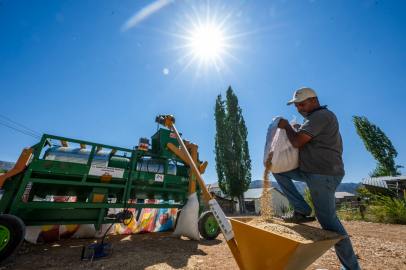 Mutlu çiftçilerin 'Karaman çilesi' bitti: Yeni makineyle ürünler artık yerinde işlenecek!
