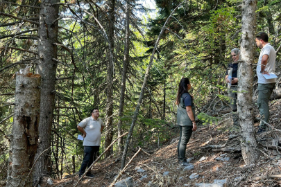 Orman İşletme Müdürlüğü’nden uygulamalı eğitim hamlesi