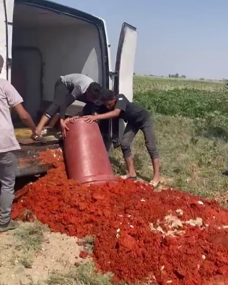 Hatay'da pes dedirten gıda sahtekarlığı Domates posasından yaptıkları 42 ton sahte salçaya el konuldu! 2