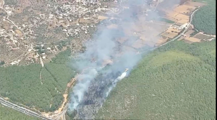 Bodrum Güvercinlik’te çıkan orman yangını kontrol altına alındı 3