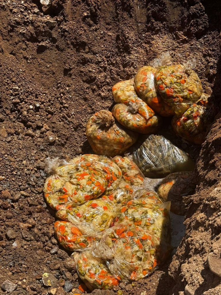 Hatay’da 800 kilo bozuk turşu imha edildi 2