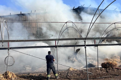 Hatay’da samanlık yangını: İtfaiye ekipleri alevleri çiftliğe sıçramadan söndürdü