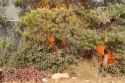 Mersin Erdemli’de orman yangını kısa sürede söndürüldü