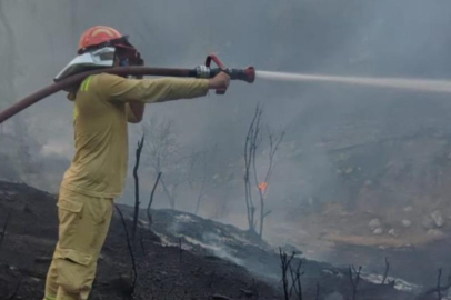 Adana Sarıçam’da orman yangını kontrol altında