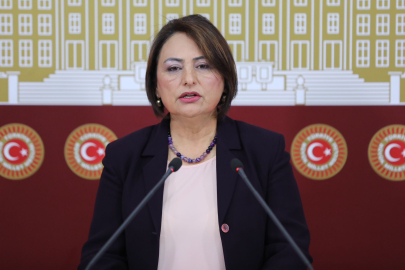 CHP Adana Milletvekili Dr. Şevkin, okullardaki eksiklikleri gündeme taşıdı