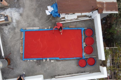 Adana’da salça mesaisi başladı